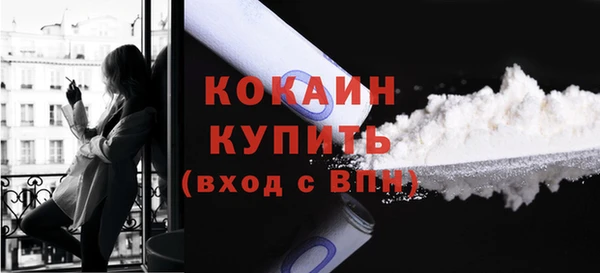 хмурый Абаза