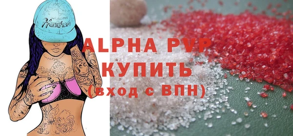 хмурый Абаза