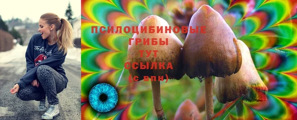 дживик Алексин
